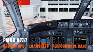 PMDG B737 BÖLÜM7 GROUND OPS  LOADSHEET  PERFORMANCE CALCULATION TUR [upl. by Anisah584]