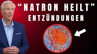 Natron EXPERTEN enthüllen schockierende Wahrheit über Entzündungen [upl. by Gilmour506]