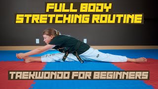 Full Body Stretching Routine  W1 Taekwondo  Portland OR [upl. by Tertia]