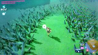 Easy Hightail Lizard Farming Breath of the Wild [upl. by Selohcin]