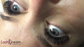 Infoltimento ciglia applicazione russian volume 5D eyelash extensions [upl. by Kirenoj]