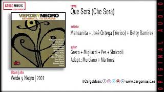 Various Artist  Qué Será Che Sera Verde Y Negro 2001 official audio  letra [upl. by Akihsay47]