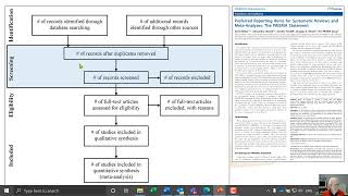 Screening Studies  Title and Abstracts [upl. by Elspeth]