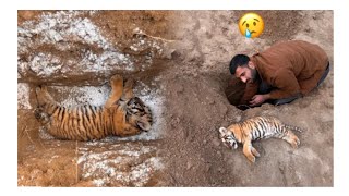 àj shahar mein dehat ka tiger 🐅🐯 aspire ho Gaya [upl. by Niatsirt]