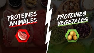 Protéines animales VS Protéines végétales [upl. by Razaile]