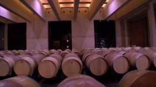 Elaboración del vino en bodega [upl. by Ycam]