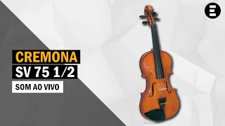 Violino Cremona SV 75 12  Egitanapt [upl. by Aniala467]