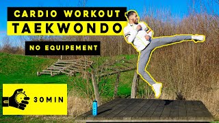 30 minutes Taekwondo CARDIO Workout 🔥No Equipement [upl. by Enajaras]