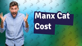 How much does a Manx cat cost [upl. by Debbra]