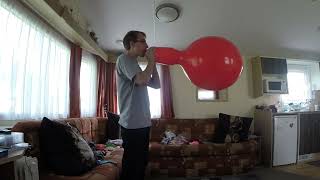 Punch Ball Balloon Blow to Pop btp b2p [upl. by Nimad]