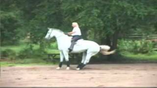 Horse Rears and Kicking [upl. by Naraj]