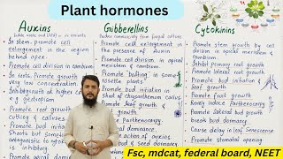 plant hormones  auxin gibberellin and cytokinin  class 12 [upl. by Onez]