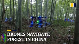 Autonomous drones fly through Chinese bamboo forest [upl. by Celio]