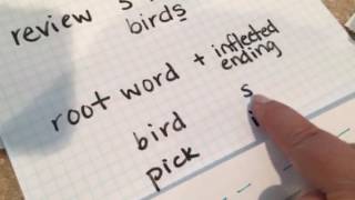 Spelling with inflected endings [upl. by Nnaecarg]