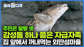 딱 2집만 살아 뱃길도 끊겨 회 먹고 싶으면 물고기 한 마리쯤은 자급자족 바다에서 꺼내 먹는 외딴섬마을에서의 하룻밤┃한국기행┃골라듄다큐 [upl. by Hinkle]