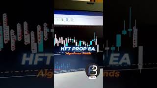 HFT PROP EA V42 MT4  Algo Forex Funds 100k Challenge highfrequencytrading hft ytshorts [upl. by Nnyliram]