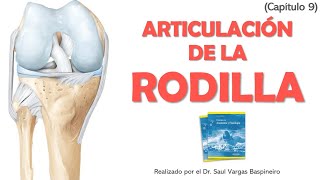 Articulación de la Rodilla  Tortora 15va [upl. by Manoff]