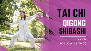 Tai Chi Qigong Shibashi Set 5 Follow along  Mirrored version with breathing timing [upl. by Gnuy135]