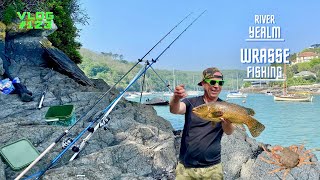 Sea Fishing Uk  Wrasse Fishing Adventures  River YealmWembury  Vlog123 [upl. by Lohcin]