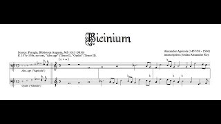 Alexander Agricola Instrumental Bicinium [upl. by Brighton865]