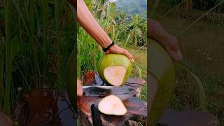 The glint of a sharp knife when peeling a green coconut asmr satisfying [upl. by Betthel]