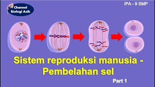 Sistem reproduksi pada manusia part 1 Pembelahan sel   IPA kelas 9 SMP [upl. by Yliak]