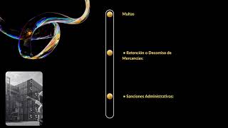 Infracciones a la ley aduanera [upl. by Yahsram]