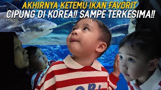 HARI TERAKHIR DI KOREA CIPUNG BLUSUKAN DUNIA LAUT DEMI KETEMU IKAN PAUS NCUS RINI SAMPE NGAKAK [upl. by Roswald]