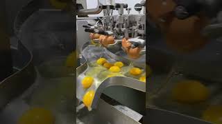 egg breaking machine  Egg cracking machine [upl. by Summer990]