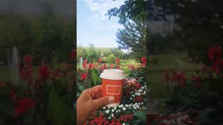 Oberlaa Park Vienna Austria Summer Beauty garden vienna shorts shortvideo [upl. by Ilera897]