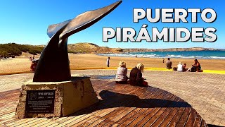 Caminando por PUERTO PIRÁMIDES Walking Tour  CHUBUT  ARGENTINA [upl. by Shugart]