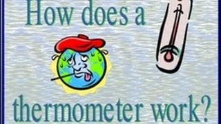 How Thermometer WorksLesson for KidsSchool Education Video [upl. by Wakefield]