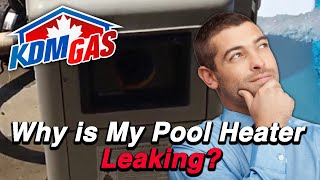 Why is My Pool Heater Leaking [upl. by Jorgan]