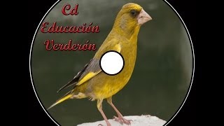 Cd Verderón 2014 [upl. by Lokkin393]