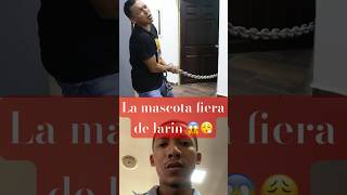 La mascota fiera de larin comedia humor larin [upl. by Nilrak]