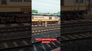 13173Kanchanjungha Express train shorts indianrailways [upl. by Eceinwahs]