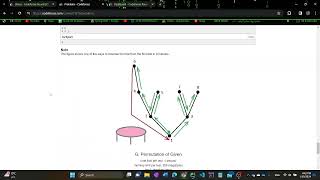 Road To Master 1  Codeforces Round 922 Div 2 screencast [upl. by Ronnica]