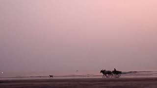 seashore bullock cart moon n relaxed eve [upl. by Rehptsirhc]