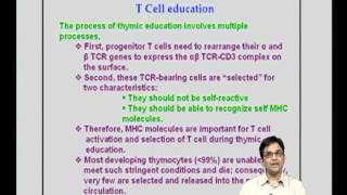 Mod13 Lec27 T cell Activation  Differentiation [upl. by Eniamej]