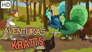 Aventuras com os Kratts  A Caça Para o Perus Selvagens [upl. by Traggat428]