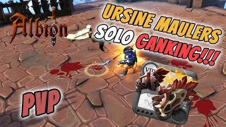 URSINE MAULERS SOLO GANKING  ALBION ONLINE AVA ROADS GANKING [upl. by Stortz]