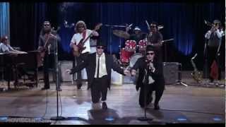 The Blues Brothers  Everybody Needs Somebody To Love [upl. by Sothena]