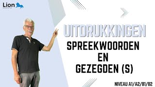 Uitdrukkingen en gezegdes niveau A1A2B1B2 [upl. by Fisoi]