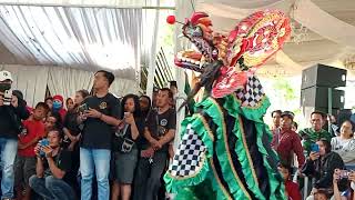 barongan kediri karin lover combat satria mudalive pesuruan [upl. by Damek]