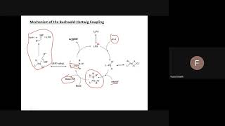 Buchwald Hartwig Coupling [upl. by Kampmeier]