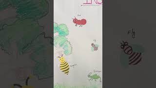 LKG project on Insects  pallavi kids school Insects project work by Harreez [upl. by Goody366]