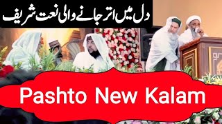 Pashto New Naat Sharif 2024  Luqman Sound [upl. by Amek]