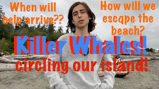 Killer Whales circling Bainbridge Island How can we escape YouTube edit  Aidan Gallagher [upl. by Suidaht]