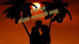 ROI NA SONG SLOWED REVERB [upl. by Alyn]