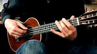 LANIKAI LU8E  8StringUkuleleDemo Part 2  FingerstyleSong [upl. by Emanuel]